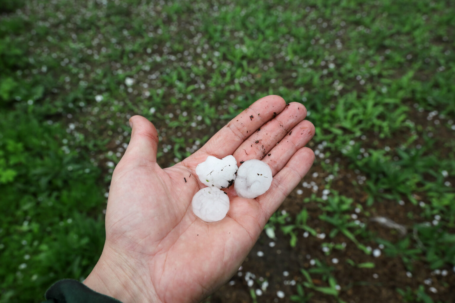 how-to-spot-hail-damage-mid-south-roof-systems-how-to-spot-hail