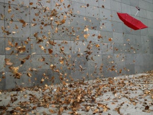 Leaves and open umbrella blowing along pavement